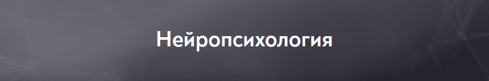 С чего начать изучение нейропсихологии. Смотреть фото С чего начать изучение нейропсихологии. Смотреть картинку С чего начать изучение нейропсихологии. Картинка про С чего начать изучение нейропсихологии. Фото С чего начать изучение нейропсихологии